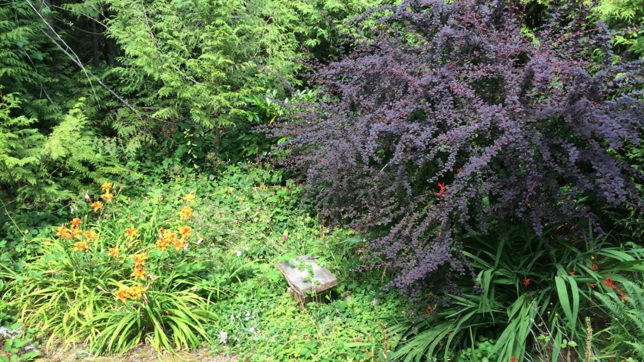Secret Cove Cottage Suites Halfmoon Bay Buitenkant foto